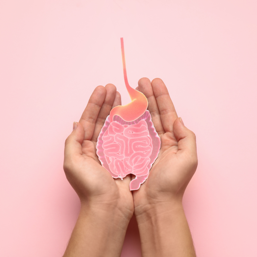 Digestive system pink image